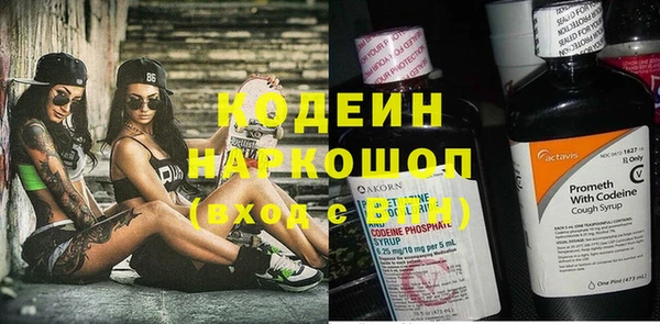 МДПВ Бородино