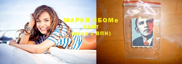 МДПВ Бородино
