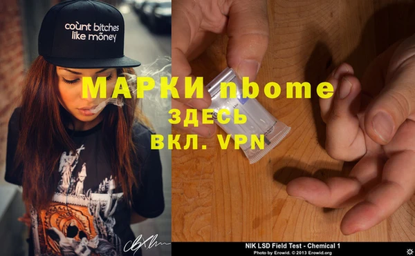 МДПВ Бородино