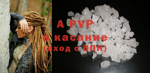 МДПВ Бородино