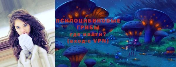 PSILOCYBIN Бугульма