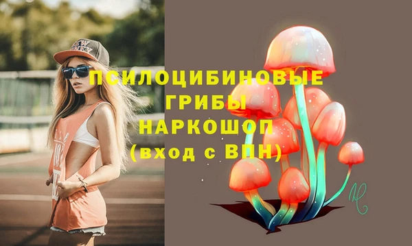 МДПВ Бородино