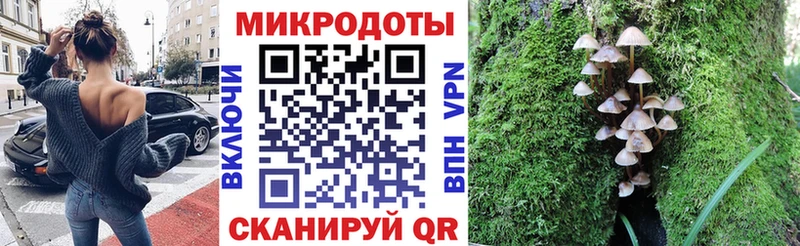 Купить где  Валдай  Псилоцибиновые грибы мицелий 